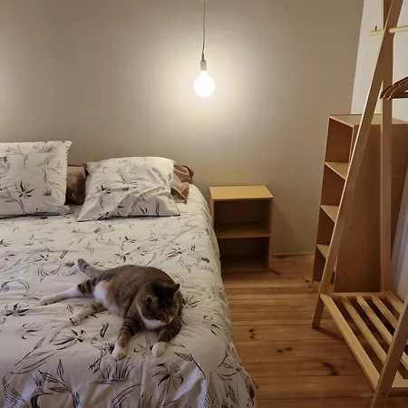 Bed & Breakfast En Charente Maritime Loire-Sur-Nie
