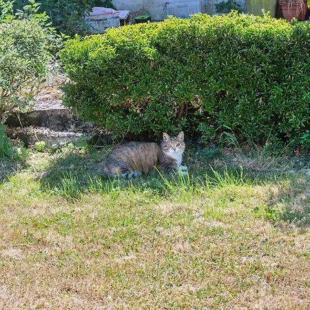 En Charente Maritime Bed & Breakfast Loire-Sur-Nie